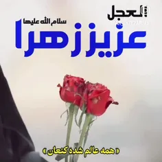 آدینه ها غروب که دلگیر میشوم🕊🌹