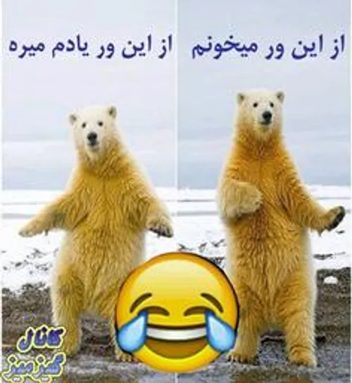 هههههههه والا