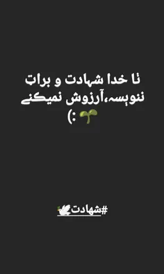 شهدا saeed.jokar 28812509