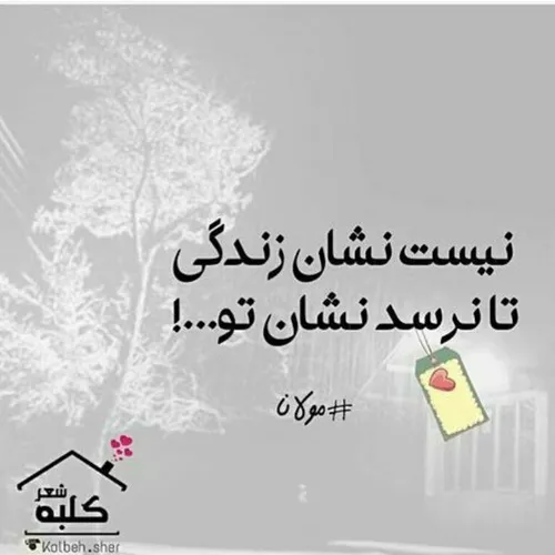 بین زیبایی چشمان تو دعوا شده استـــــ