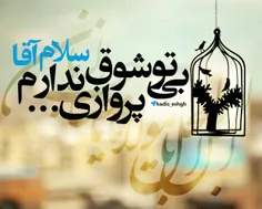 السلام علیک یا اباصالح المهدی