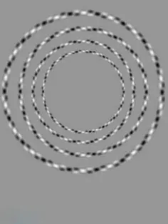در این تصویر فقط چهار دایره وجود دارد ولی الگوی رنگ دایره