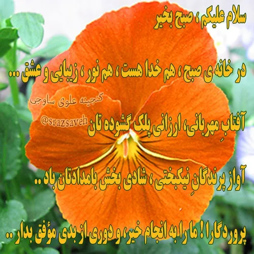 سلام علیکم ، صبح بخیر