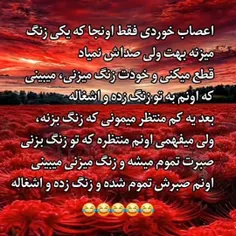 راس میگه 🤣 