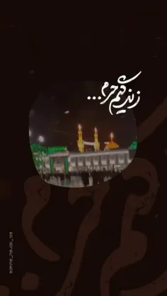 من‌از‌همه‌غیر‌خودت‌خسته‌شدم🙂