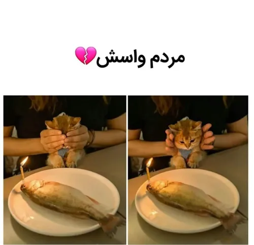 آدمو اینجوری سوپرایز کنن😂😍👌