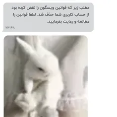 چرا‌خدایی🤡🔪