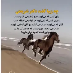 برای درک شدن نیاز‌ به‌فریاد نیست