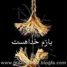 گاهي خداوند درها و پنچره ها را به رويت مي بندد زيباست كه 