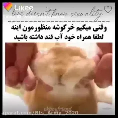 یکی بیاد بهم آب قند بده🐰