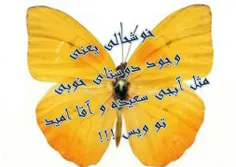 گوناگون naz92 7120659