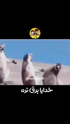 دعا این روزامون🤲🏻😂😂