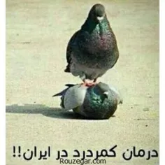 خخخ