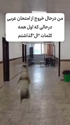 همین امروز ازمون ها عربی داشتم 😂😂😂