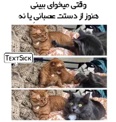 مثل من و دوستم ههههههههههه