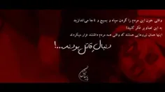 آنهایی که برای محکوم کردن حمله تروریستی در شیراز زبانشان 