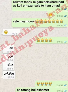 طنز و کاریکاتور pisi 13027686