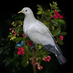 صبح همگی گلباران 🌸🌼🌸