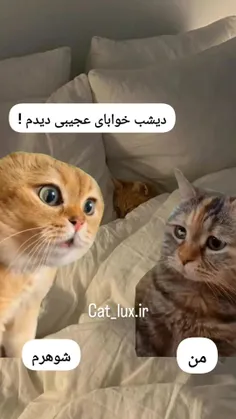 بخواب زود طلاق بده اعصاب ندارم😠😂🔪😁