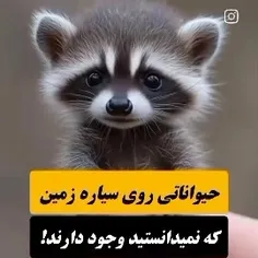 اووو قوداااا