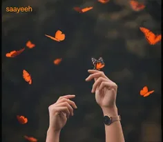 هرکه مَست است