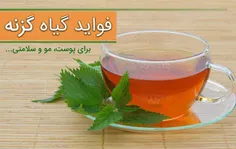 #گزنه از قدیمی‌ترین موثر در #درمان_ریزش_مو است. استفاده ا