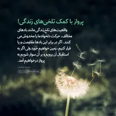 💌  پرواز با کمک تلخی‌های زندگی!