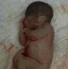 پیدا شدن جسد نوزادی در کیسه زباله / امامزاده محمود آباد/ 