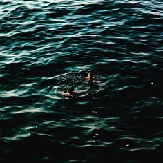 Boys swam in the #mediterranean off of beirut's corniche.