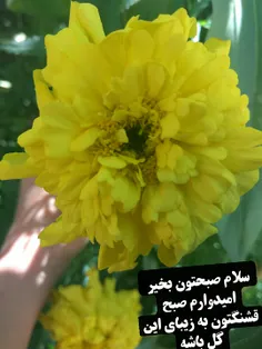 منو گل های باغچم 😍