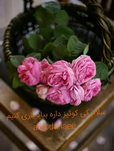 سلام بچه ها کی کوئیز داره بیاد بازی کنیم 