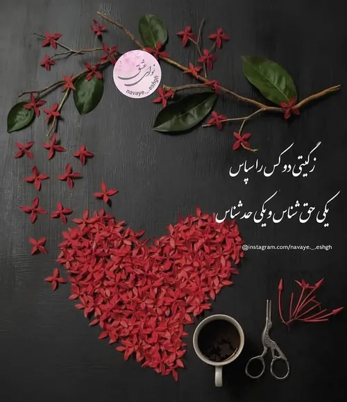 خاص قشنگ بینظیر