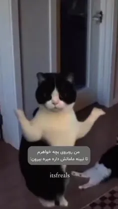 سلام🙂