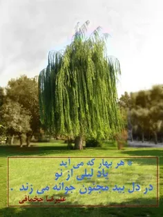 کاریکلماتور