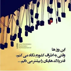 #شهیدا_شرمنده_ایم