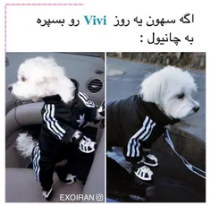 وی ویم😘 😘 😻 ببین باعاش چیکار کردی