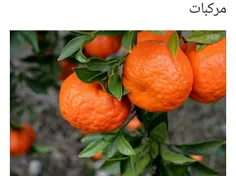 سوغات کرمان،بم