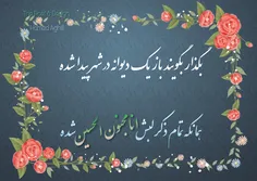 شاعر و طراح حامد عقیلی
