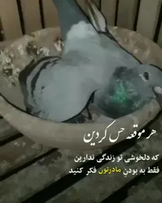 هر موقعه حس کردین😭😭