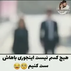 یک روباه هم اتاقی منه