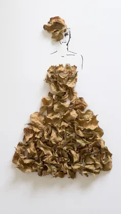 طراحی بابرگ