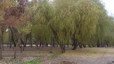 پارک ناژوان اصفهان