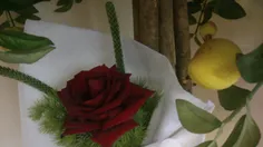 خودم گرفتم