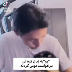 ما چیزی ندیدیم🤝🏻😔