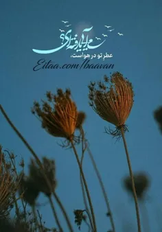 کشاورز دعایِ بـاران خواند ، و باران آمد