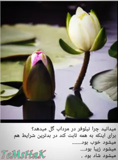 ☜میـــشود خــوب بــود☞