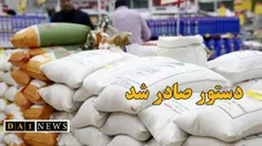 نجفی: وزیر جهاد کشاورزی دستور لازم برای خرید تضمینی برنج را صادر کند