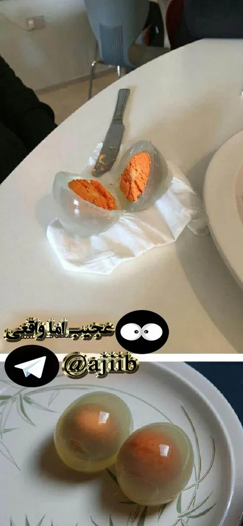 عمرا دیگه کسی تا حالا تخم پنگوئن آب پز دیده باشه😳 😱