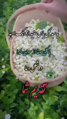 باتقدیم ادب واحترام ویژه خدمت دوستان عزیزومهدوی...🙏🏻💐