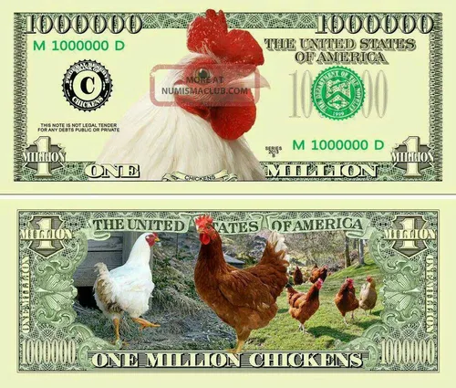 مرغ از دلار هم جلو زد!